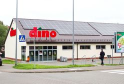 Nie tylko Warszawa. Dino ma zadebiutować w kolejnym mieście