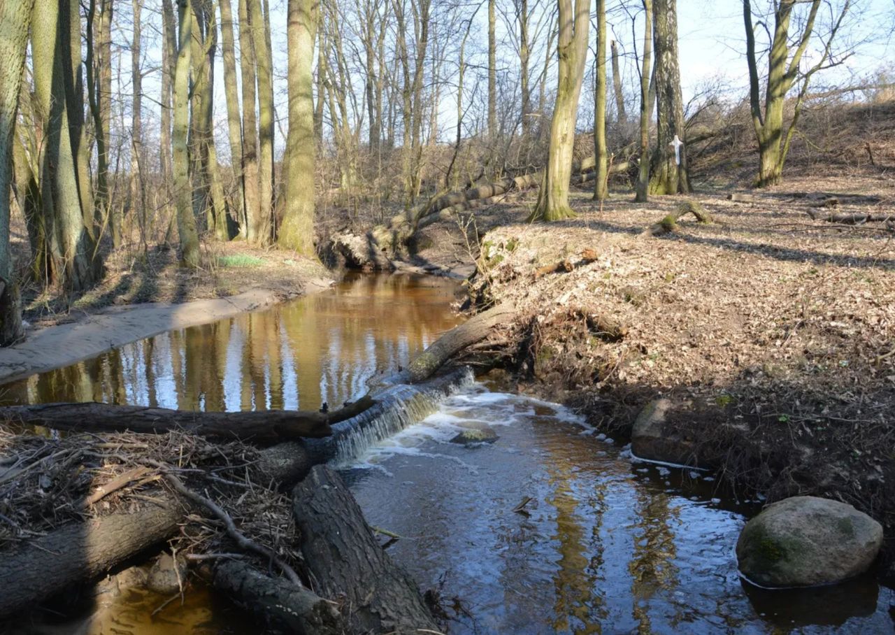 Ta rzeka kiedyś tonęła w śmieciach. Dziś może stać się rezerwatem