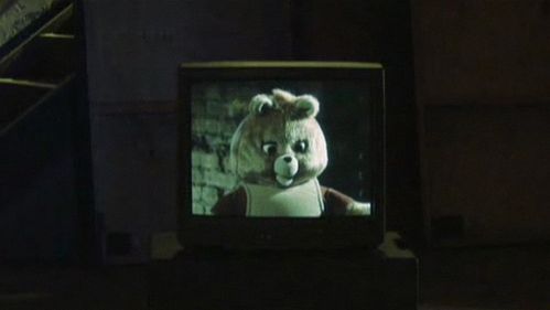 Misie też mają uczucia! [wideo] 1