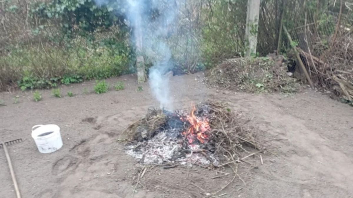 Wiosenne porządki na działce zakończyły się mandatem 