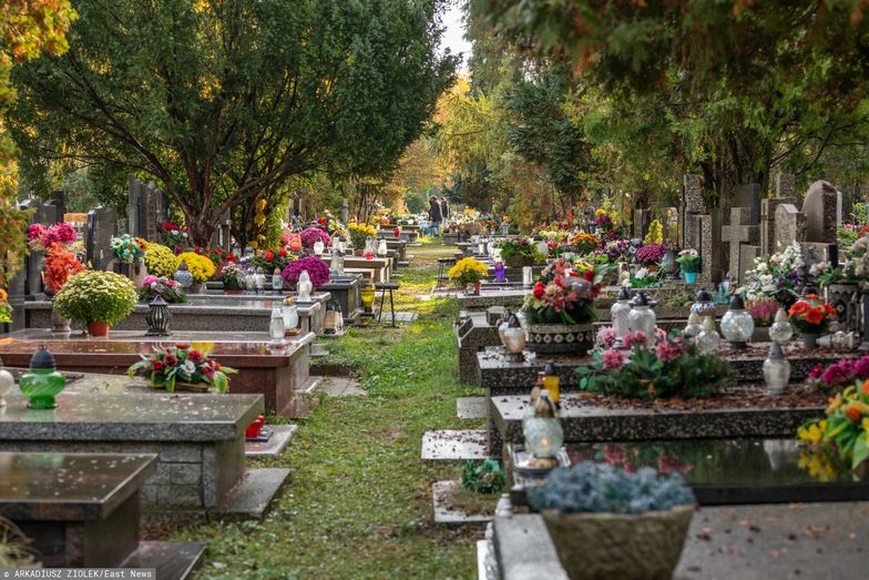 Plaga kradzieży na Wszystkich Świętych. Jest apel leśników