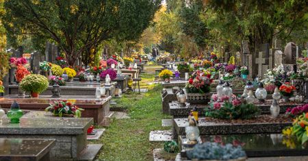 Plaga kradzieży na Wszystkich Świętych. Jest apel leśników