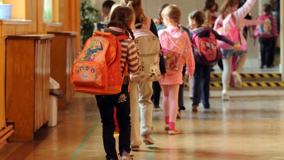 Uczniowie
Szczecin, 29.03.2012 Dzieci z tornistrami w szkole podstawowej. mb/soa
PAP/Marcin Bielecki
Marcin Bielecki
dzieci, dziecko, edukacja, korytarz szkolny, nauka, plecak, plecaki, podstaw�wka, szkolnictwo, szko�a, tornister, uczennica, uczennice, ucze�, uczniowie, podstawowa