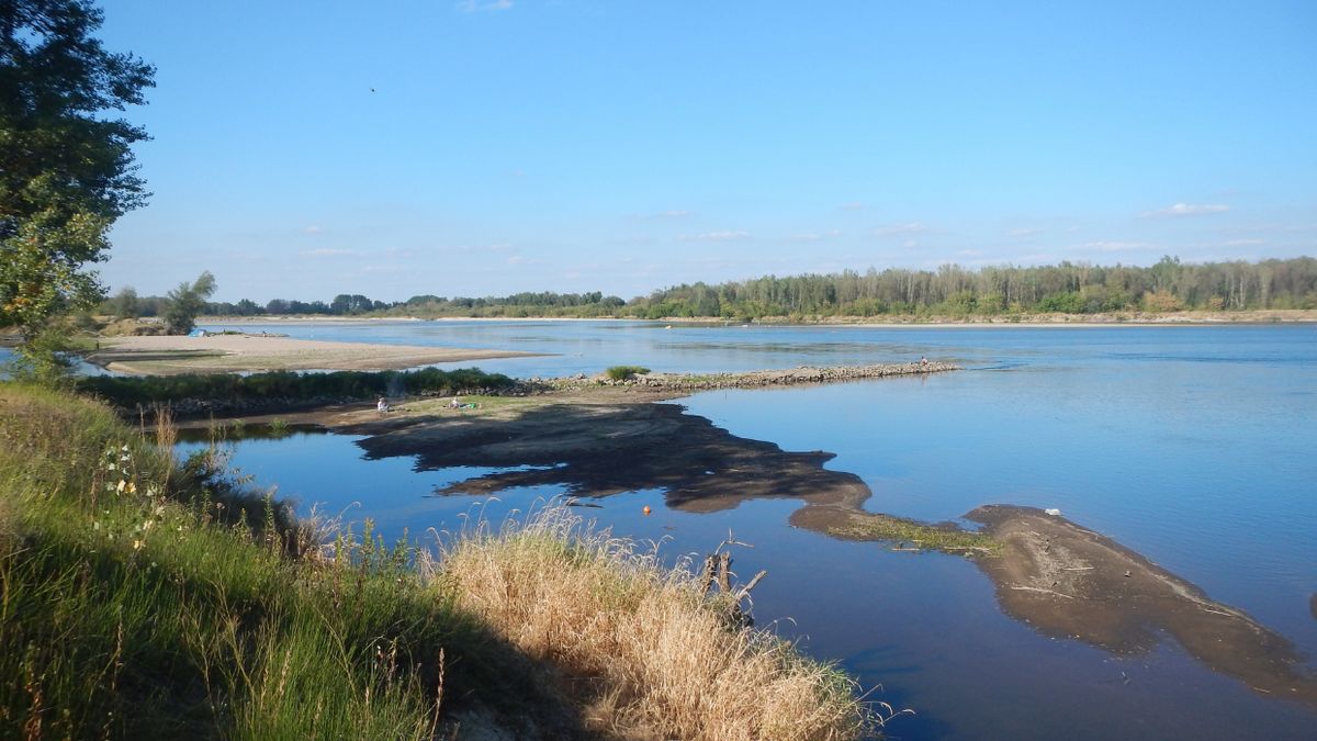 Zasolenie Wisły przekracza dopuszczalne normy