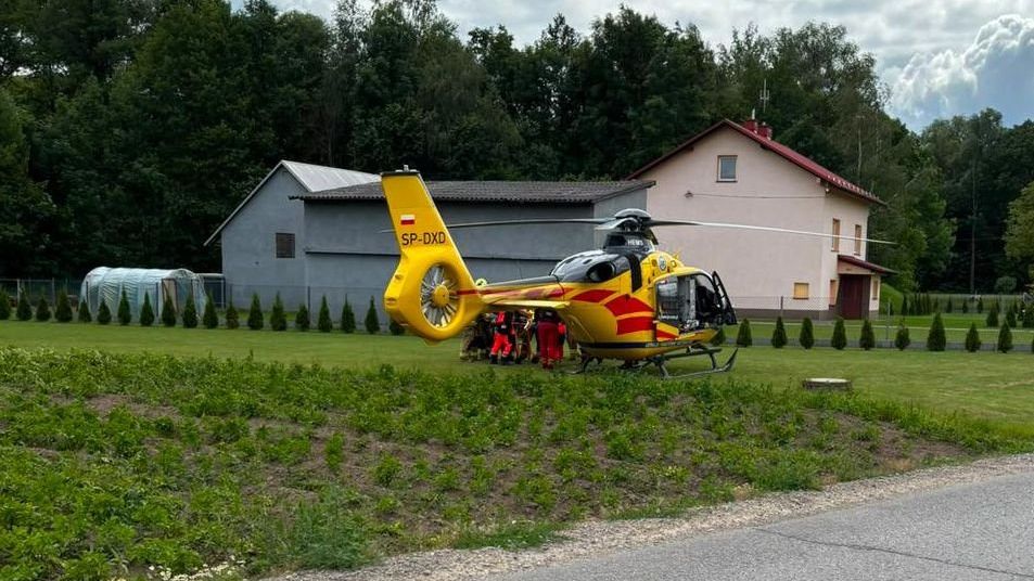 policja