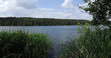 Wstrząsający widok na jeziorze. Wędkarz natychmiast powiadomił służby