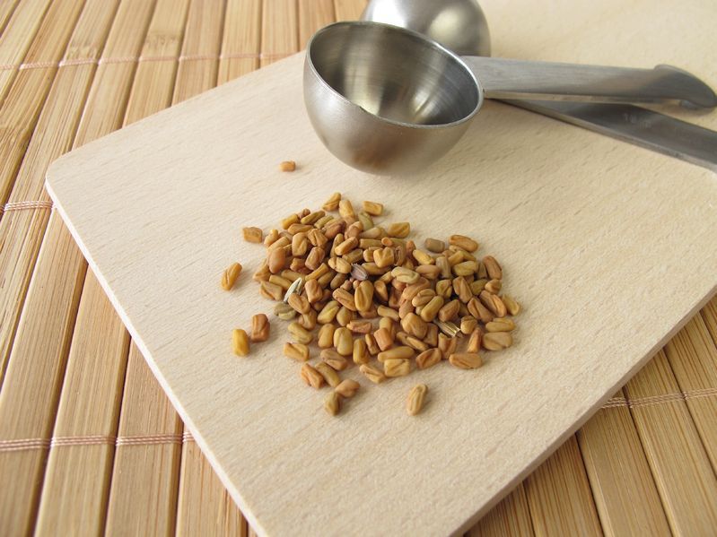 Kozieradka obniża ryzyko zachorowania na cukrzycę