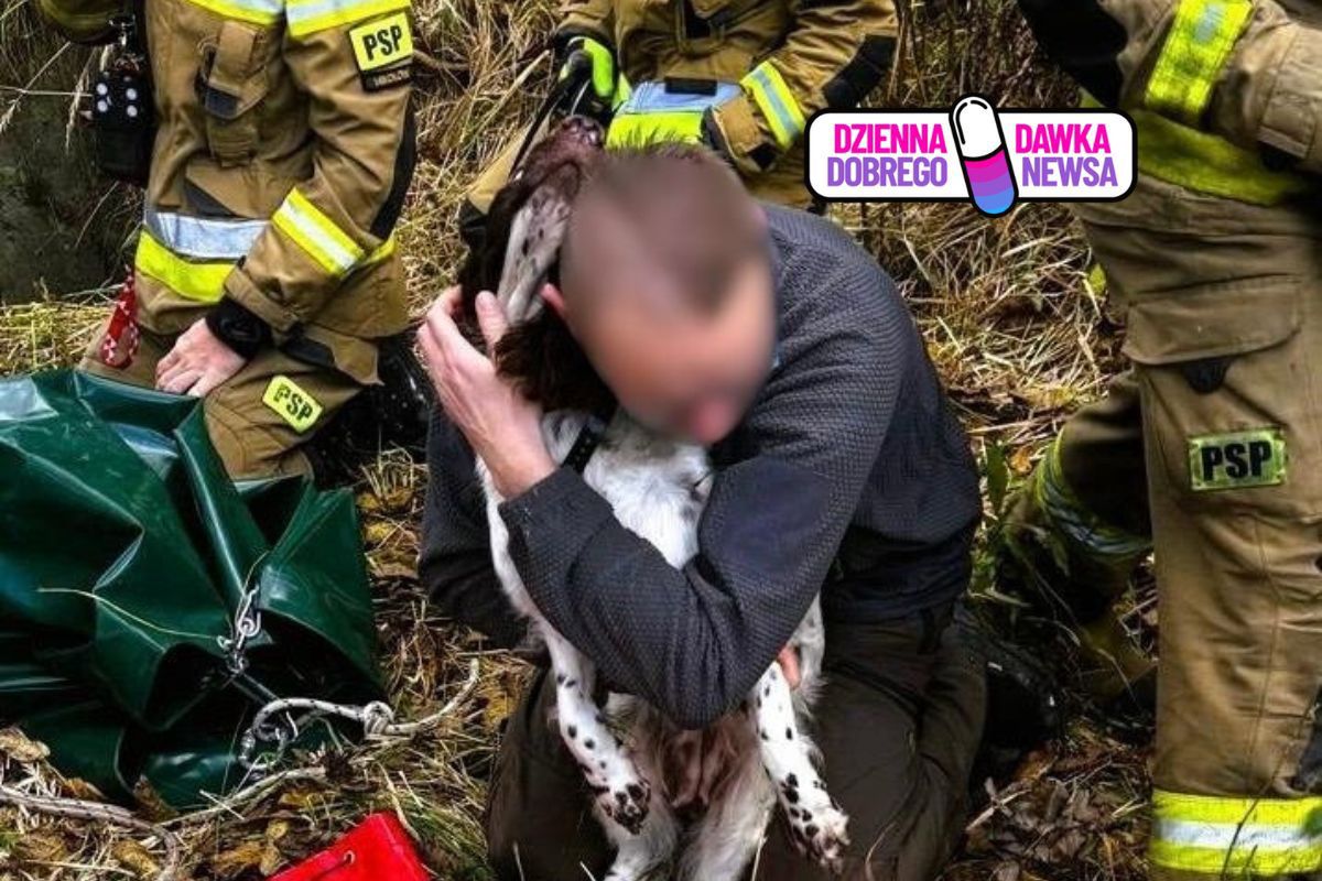 Pies spadł do 10-metrowego szybu. Bohaterska akcja strażaków