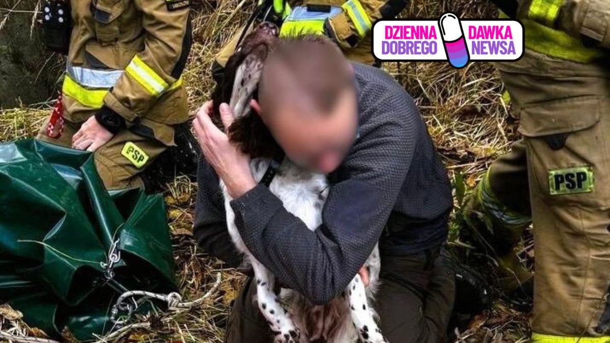 Szczęśliwy finał akcji ratunkowej. Pies uratowany przez strażak