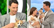 Tomasz Wolny tuli słodkie pieski podczas debiutu w "Halo tu Polsat". Jak wypadł? Widzowie wydali werdykt