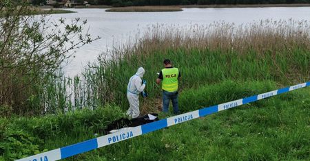 Martwy pies wyłowiony z jeziora. Właścicielka rozpoznała go w prasie