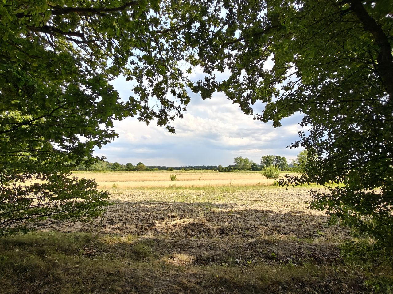 Trzy podstawowe wartości zoomu. Odpowiadający 16 mm zoom x0.6, odpowiednik 24 mm zoom x1 oraz zoom x2 czyli 48 mm. Kadr poziomy.