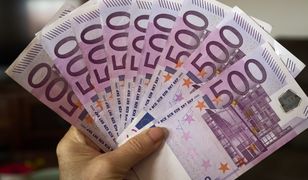 Sprzątali dom, znaleźli 600 tys. euro. Chcieli 100 tys. euro nagrody