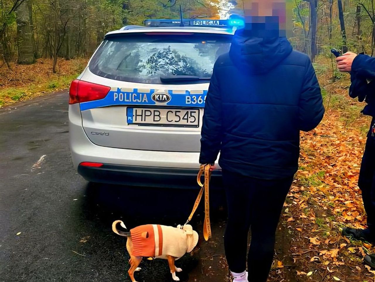 Góra: Szybka akcja policji uratowała zaginioną grzybiarkę