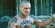 Polski film podbił cały świat. Netflix chce więcej, Damięcki powróci