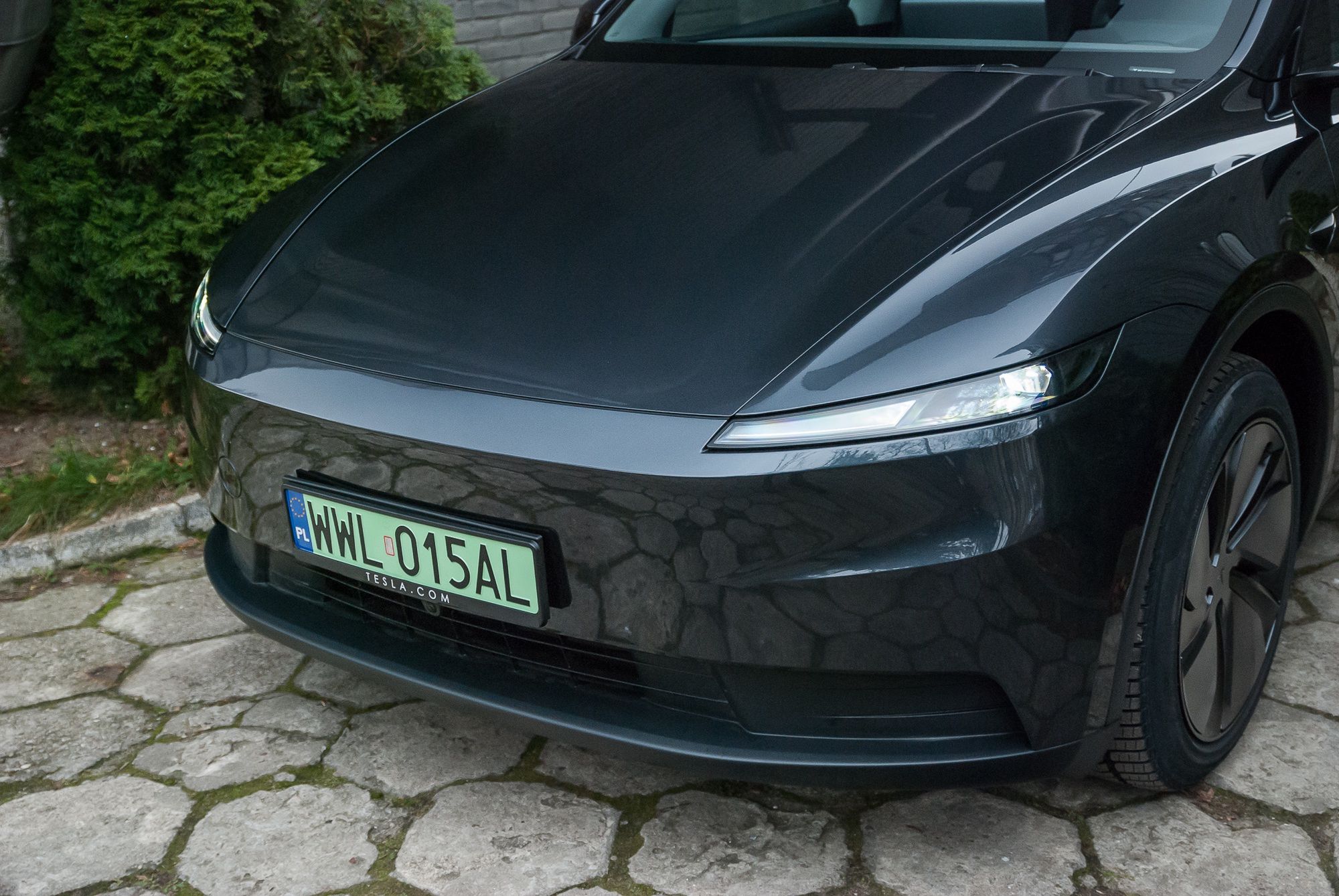 Tesla Model Y Standard