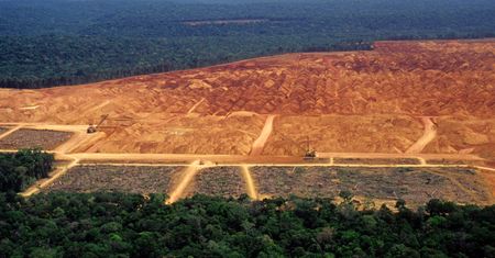 Naukowcy ostrzegają. Amazonia przed punktem krytycznym