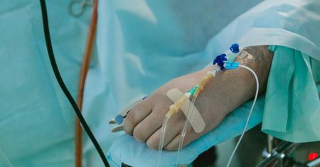 Rekordowa liczba przeszczepów wątroby w Warszawie – kluczowa zmiana przepisów przynosi efekty