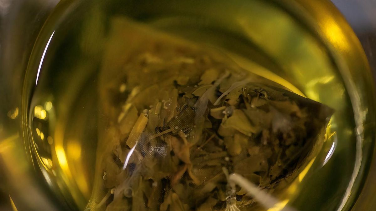 Wiele ziół ma dobroczynny wpływ na zdrowie wątroby. Poznaj je