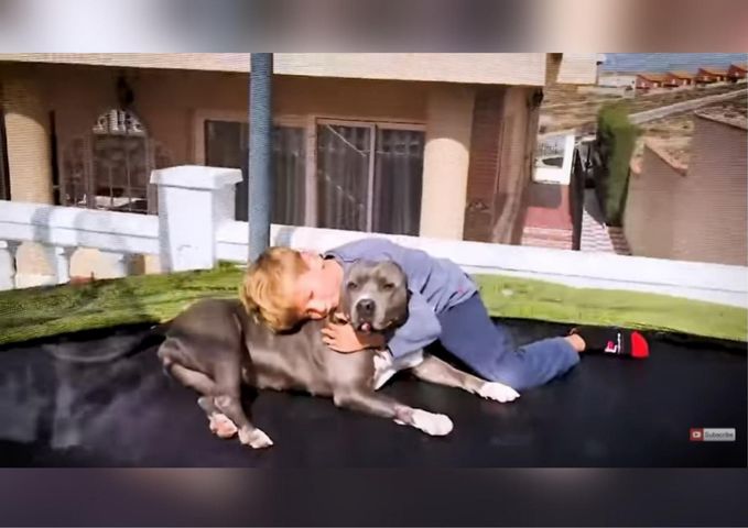 Rodzina adoptowała psa, by dać mu miłość i szczęśliwe życie