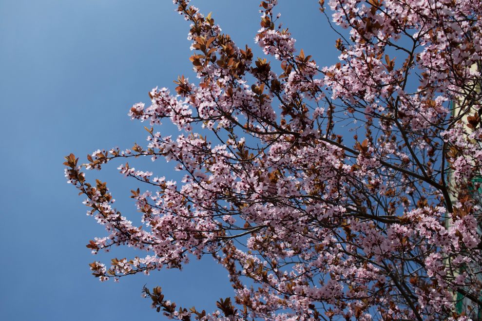 Canon EF-S 24mm f/2.8 STM - zdjęcia przykładowe 29
