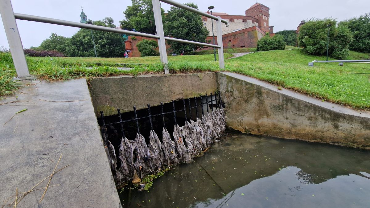 Śmieci u stóp Wawelu. Przygnębiający widok
