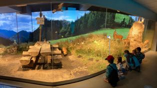 Brzozowa: Nowa atrakcja w regionie. Powstanie "Leśne Zoo"