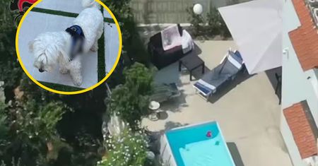 Szukali go od półtora roku. Bossa włoskiej mafii zdradził pies