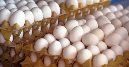 Czy jajka można jeść codziennie? Większość odpowiada źle na to pytanie