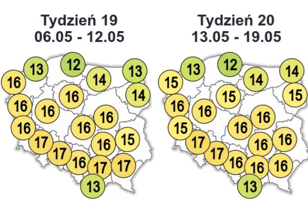 Po majówce przyjdzie ochłodzenie, najzimniej ma być "na zimnych ogrodników"