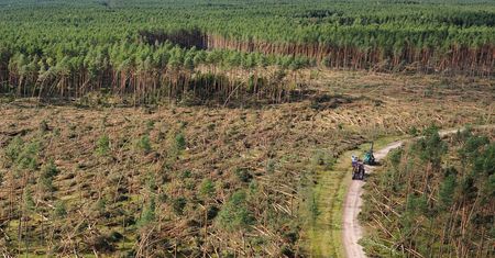 Nawałnica na Pomorzu. Żywioł zniszczył tysiące hektarów lasów. Tamtej nocy zginęli też ludzie