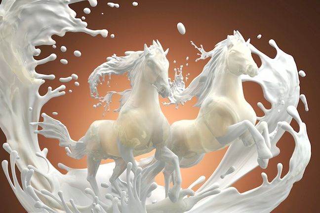 Mleko od kobyły jest zdrowsze niż to od krowy