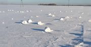 Śnieżne rolki uchwycone niedaleko Wałcza. Tak powstaje niezwykle rzadkie zjawisko