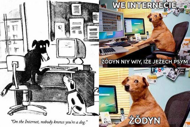 Test Turinga z punktu widzenia psa i Rain Mana, czyli kolejna sensacja z niczego 6