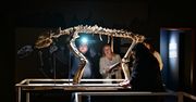 Tłumy zwiedzających podczas zakopiańskiej Nocy Muzeów 2026
