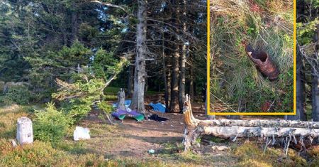 Rozpalali ognisko w Karpatach. Dwie osoby nie żyją, pięć rannych