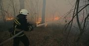 Wrócił pożar w Czarnobylu. Chmura dymu dotarła aż do Kijowa. Czy grozi nam skażenie?