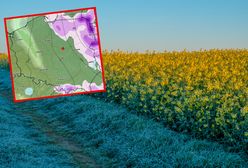 Zimne niespodzianki w kwietniu. Nagłe ochłodzenie