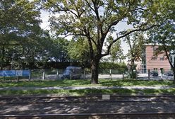 Wrocław. Akademik na terenie Stadionu Olimpijskiego kością niezgody. Magistrat odpowiada na protest mieszkańców