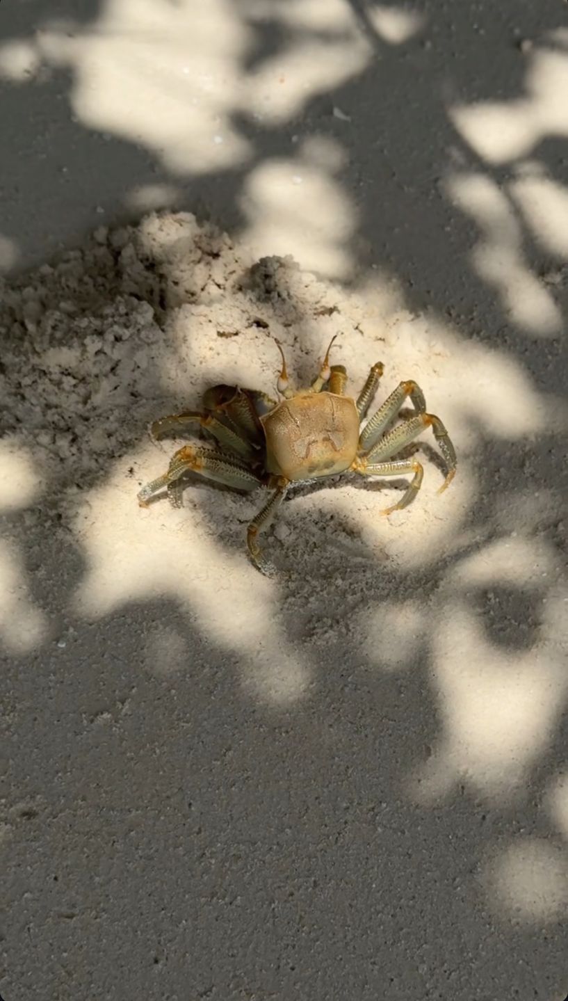 Edyta pazura relacjonuje rajskie wczasy na Malediwach