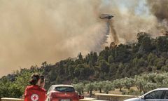 Kolejna fala zabójczych pożarów w Grecji. Zginęły dwie osoby