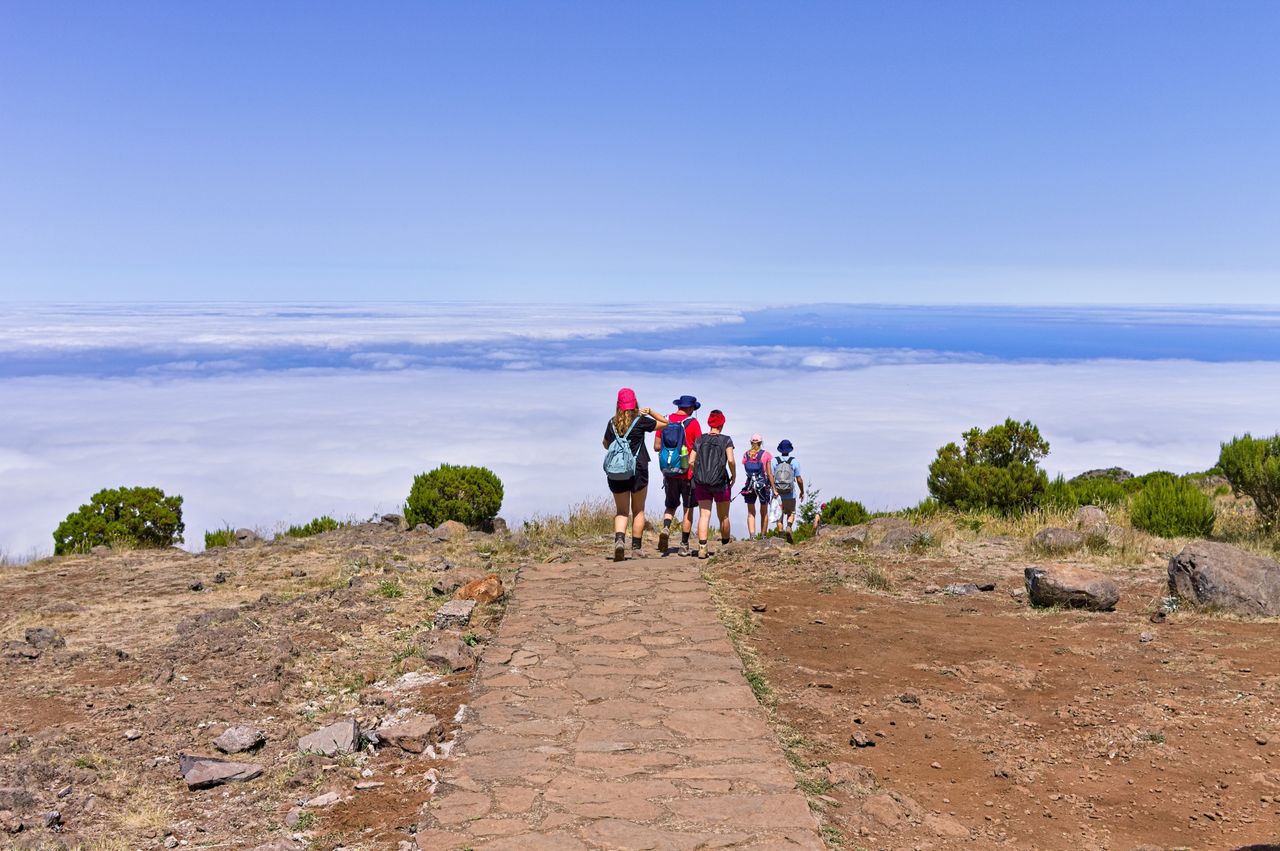 Dengue alert: Madeira's tourists urged to stay vigilant