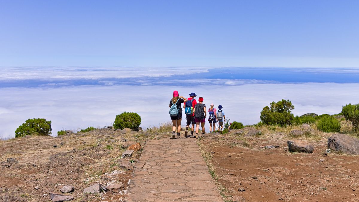 Turyści na Maderze muszą szczególnie uważać na komary