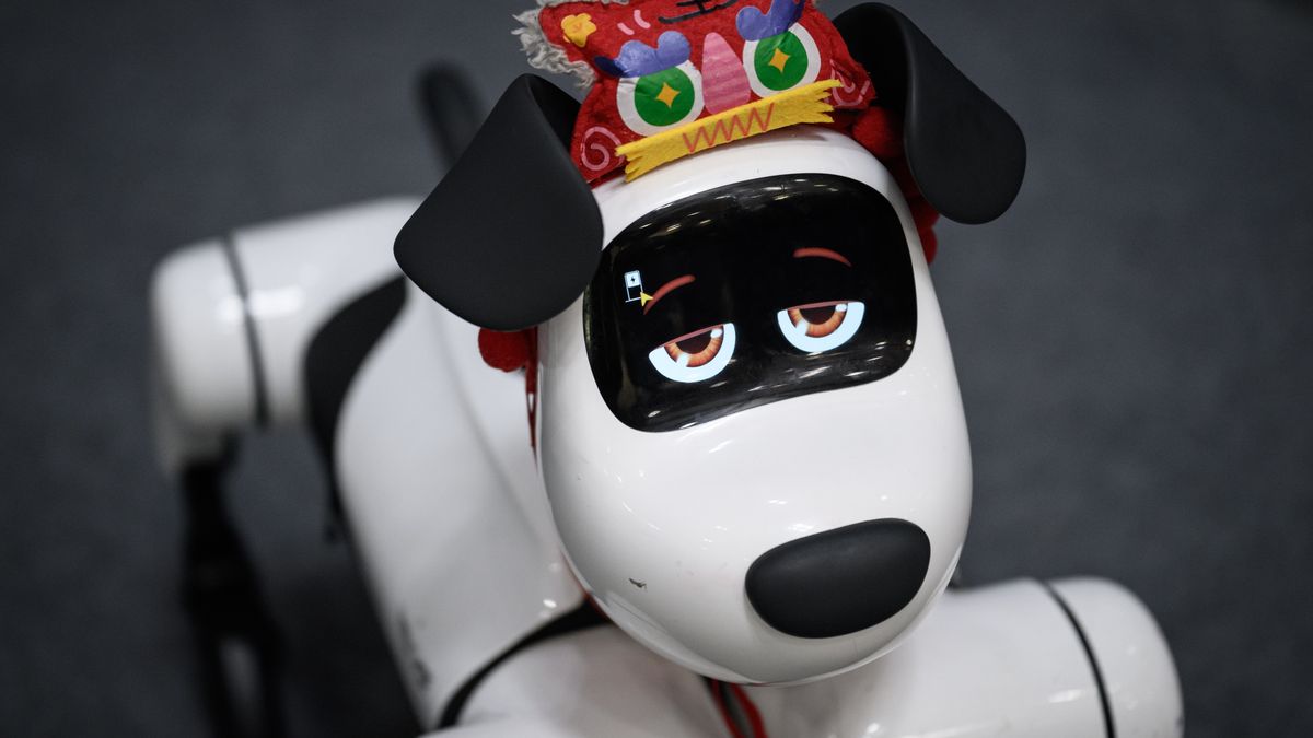 ZHONGSHAN, CHINA - JULY 21: Robotic dog is seen during the Artificial Intelligence Robot Exhibition on July 21 ,2026 in Zhongshan,Guangdong Province of China.The exhibition showcases the latest achievements in the fields of artificial intelligence and robotics, providing immersive technology experiences for the public through intelligent technology experience areas, robot performances, youth competitions, and interactive projects, and promoting AI science education. (Photo by John Ricky/Anadolu via Getty Images)