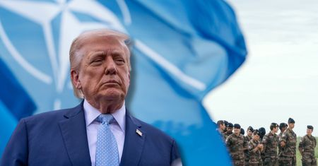 "Papierowy tygrys". Trump ostro podważa NATO