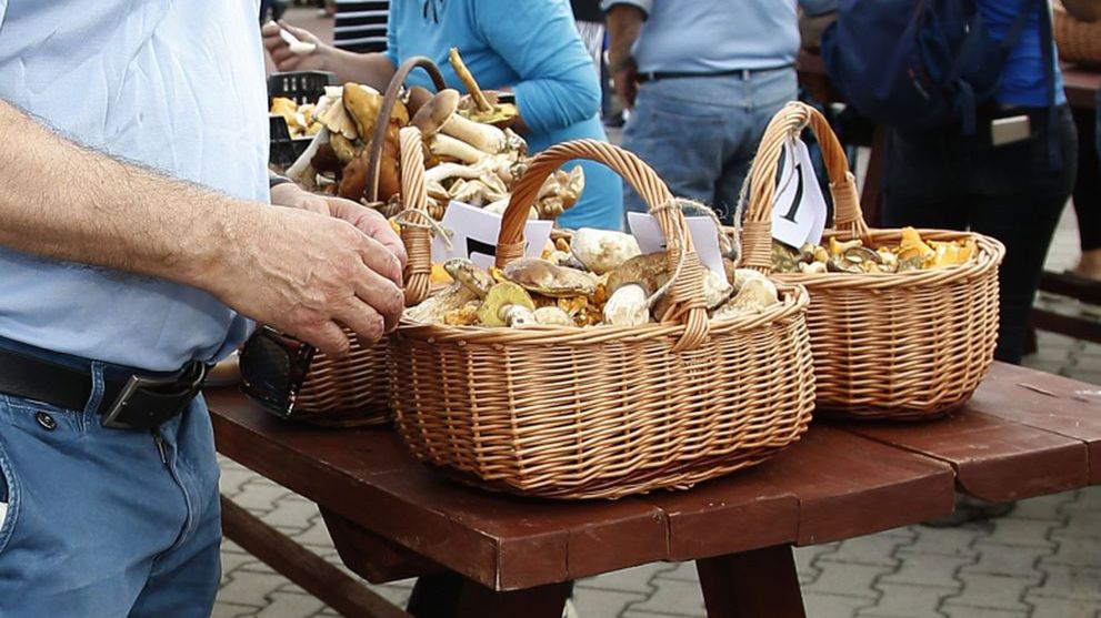 Sezon na kurki i borowiki szlachetne trwa w polskich lasach. Grzyby trafiają na stragany. Zdjęcie ilustracyjne.