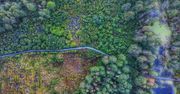 Europejski Dzień Obszarów Natura 2000. Najpiękniejsze chronione obszary przyrodnicze w Polsce