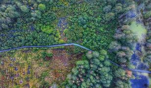 Europejski Dzień Obszarów Natura 2000. Najpiękniejsze chronione obszary przyrodnicze w Polsce