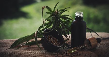 Jak wykorzystać naturalne oleje w pielęgnacji włosów?