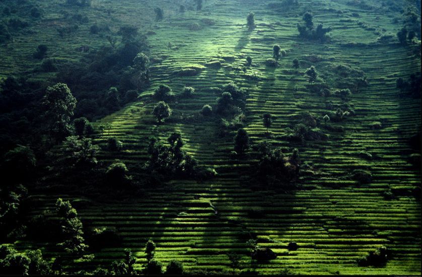 Fot. Marek Arcimowicz / Zdjęcie pochodzi z wystawy "Nepal - między górami"